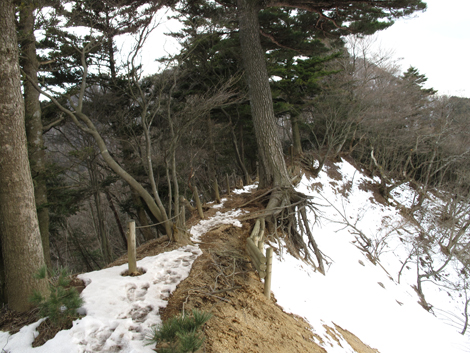 20170113hike (146)